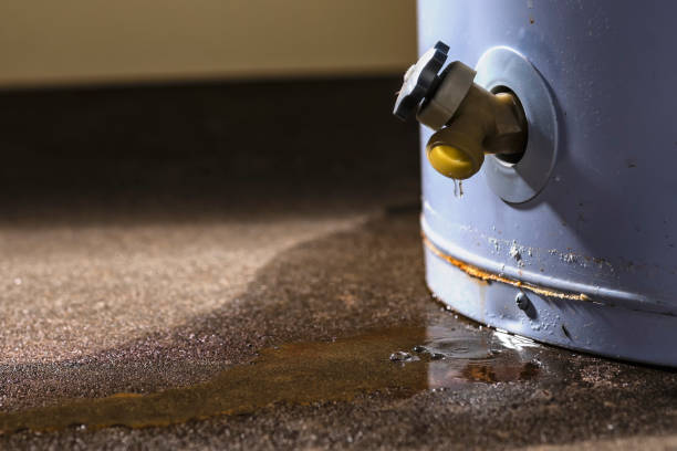 Water damage restoration mold remediation in Imperial Beach, CA