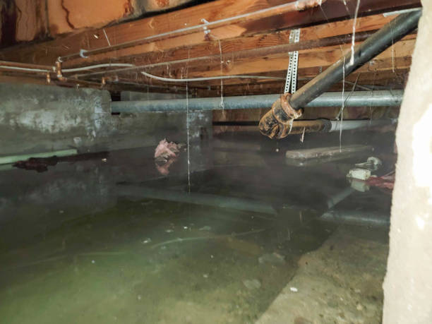 Best Flooded house restoration  in Imperial Beach, CA