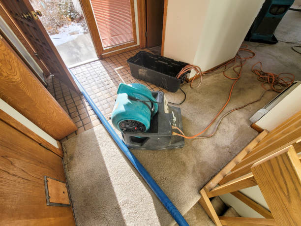 Water damage restoration experts in Imperial Beach, CA