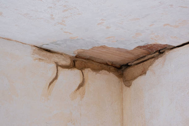  Imperial Beach, CA Water damage restoration Pros