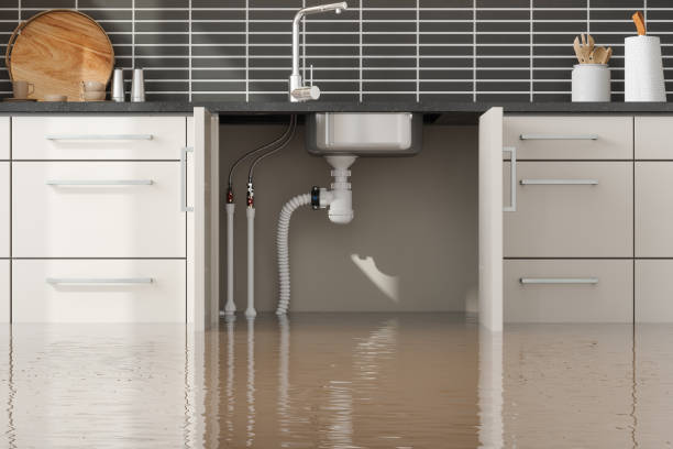Best Water damage restoration experts  in Imperial Beach, CA