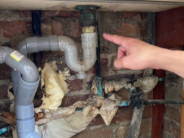 Best Flooded house restoration  in Imperial Beach, CA