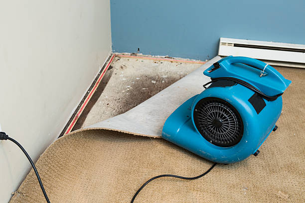 Best Commercial water damage restoration  in Imperial Beach, CA